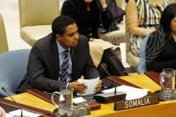 At the Security Council meeting on anti-piracy courts, 2012